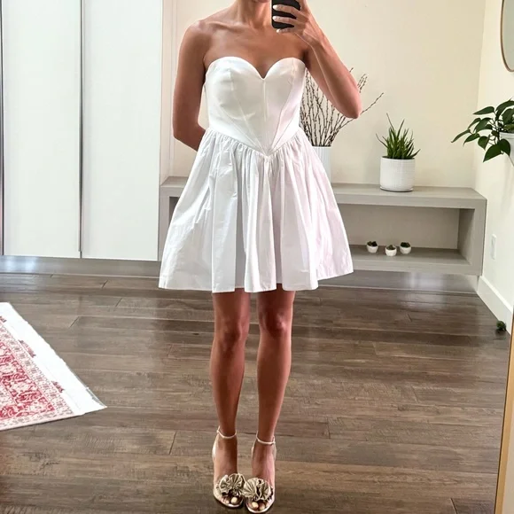 NWT - Zara Fit & Flare Dress - Elegant & Stylish! - Picture 3 of 5